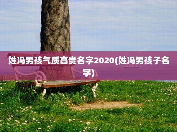 姓冯男孩气质高贵名字2020(姓冯男孩子名字)