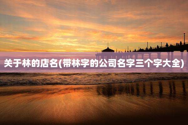 关于林的店名(带林字的公司名字三个字大全)