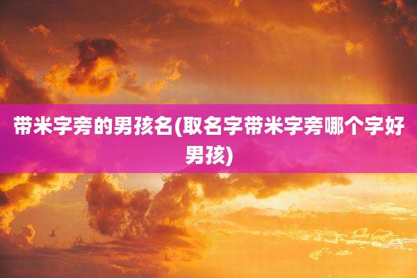 带米字旁的男孩名(取名字带米字旁哪个字好男孩)