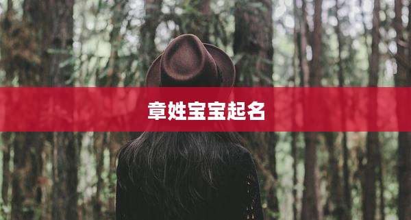 章姓宝宝起名