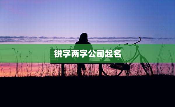 锐字两字公司起名