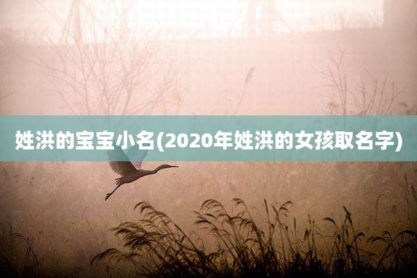 姓洪的宝宝小名(2020年姓洪的女孩取名字)