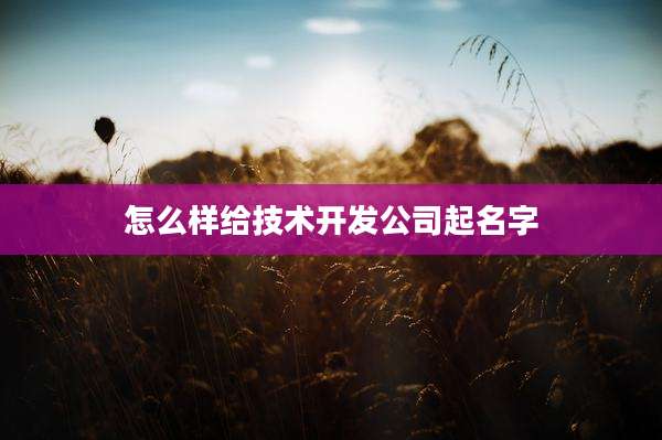 怎么样给技术开发公司起名字