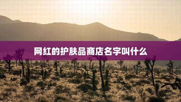 网红的护肤品商店名字叫什么