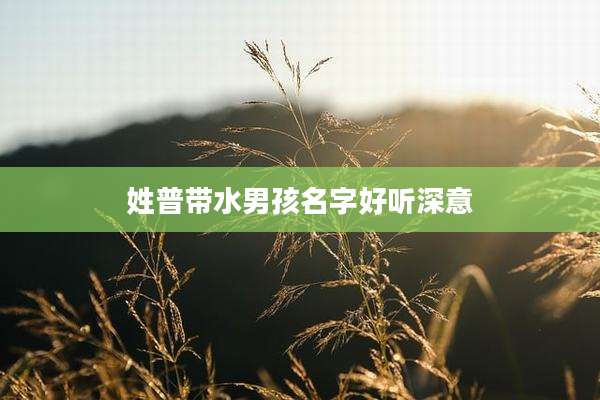 姓普带水男孩名字好听深意