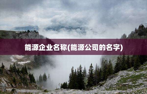 能源企业名称(能源公司的名字)