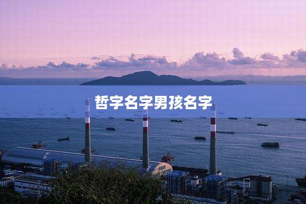 哲字名字男孩名字