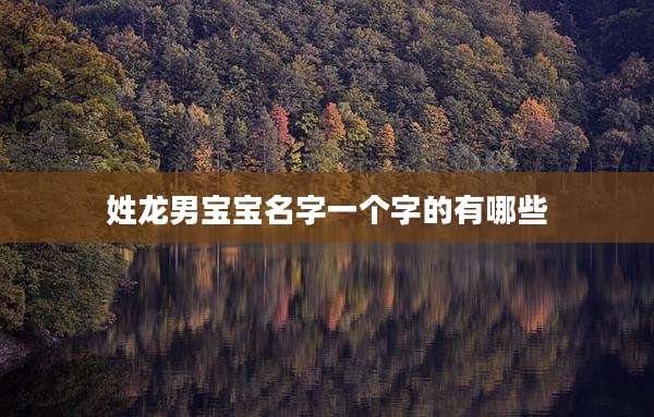 姓龙男宝宝名字一个字的有哪些