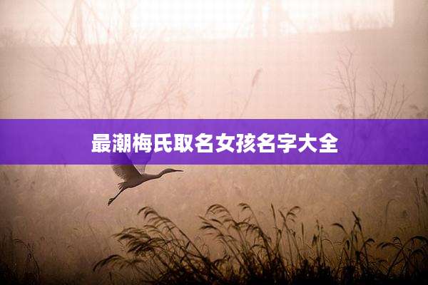 最潮梅氏取名女孩名字大全
