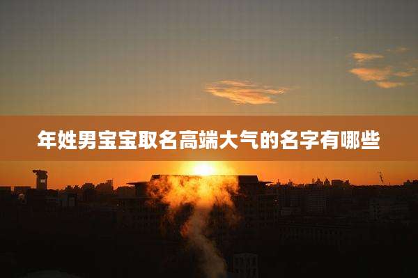 年姓男宝宝取名高端大气的名字有哪些