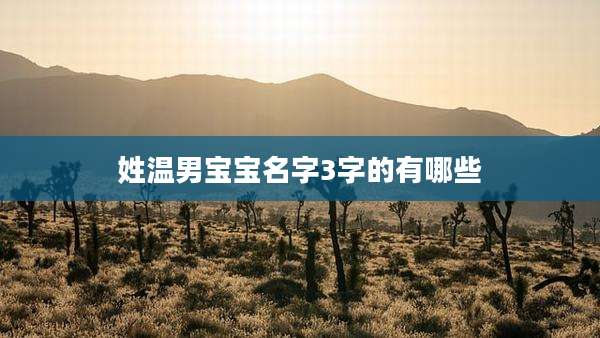 姓温男宝宝名字3字的有哪些