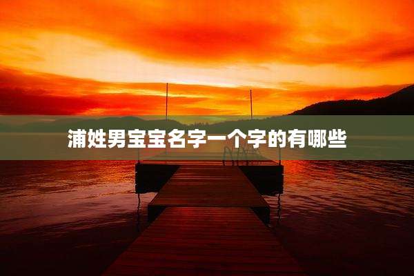浦姓男宝宝名字一个字的有哪些