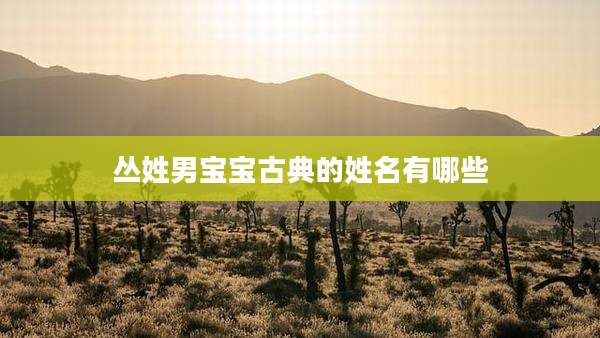 丛姓男宝宝古典的姓名有哪些