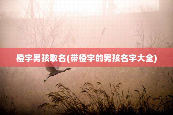 橙字男孩取名(带橙字的男孩名字大全)