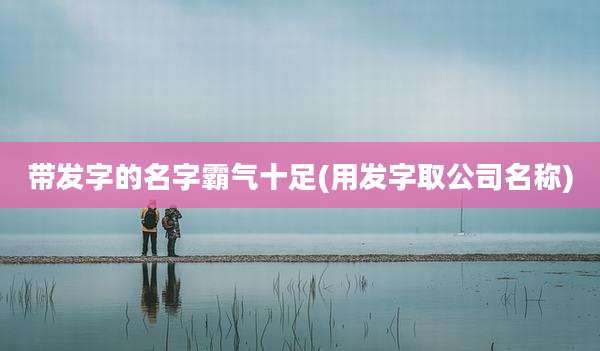 带发字的名字霸气十足(用发字取公司名称)