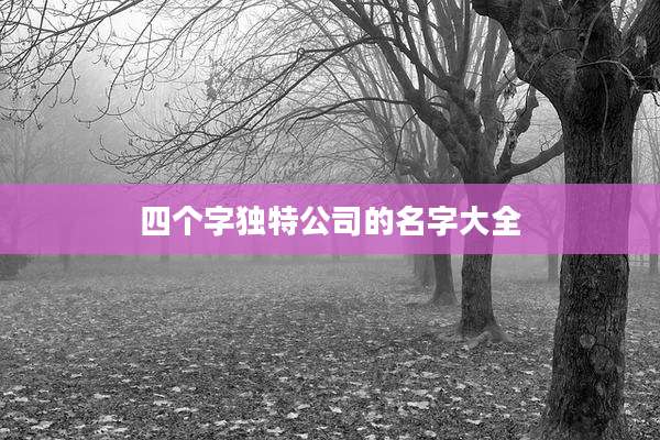四个字独特公司的名字大全