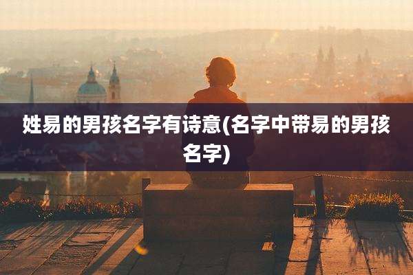 姓易的男孩名字有诗意(名字中带易的男孩名字)