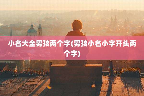 小名大全男孩两个字(男孩小名小字开头两个字)