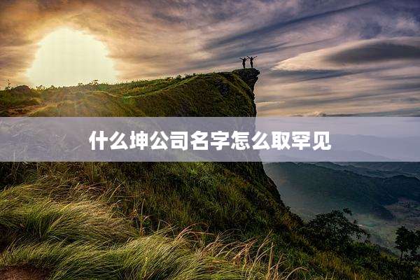 什么坤公司名字怎么取罕见