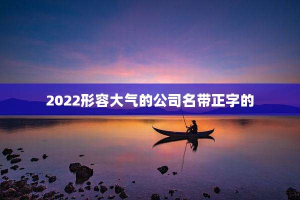 2022形容大气的公司名带正字的