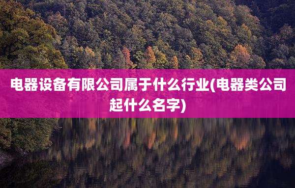 电器设备有限公司属于什么行业(电器类公司起什么名字)