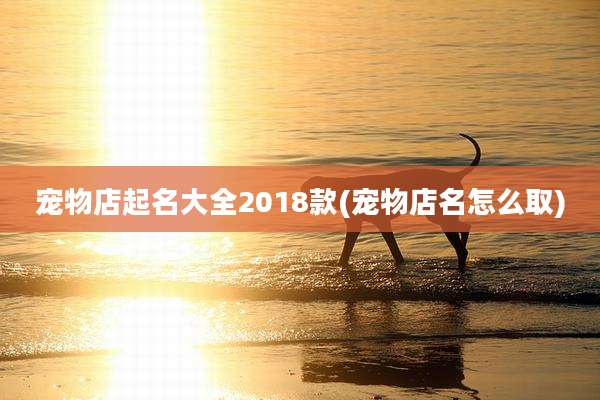 宠物店起名大全2018款(宠物店名怎么取)
