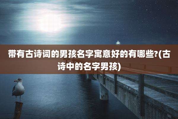 带有古诗词的男孩名字寓意好的有哪些?(古诗中的名字男孩)
