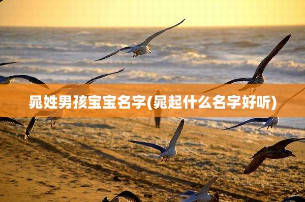 晁姓男孩宝宝名字(晁起什么名字好听)