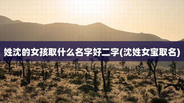 姓沈的女孩取什么名字好二字(沈姓女宝取名)