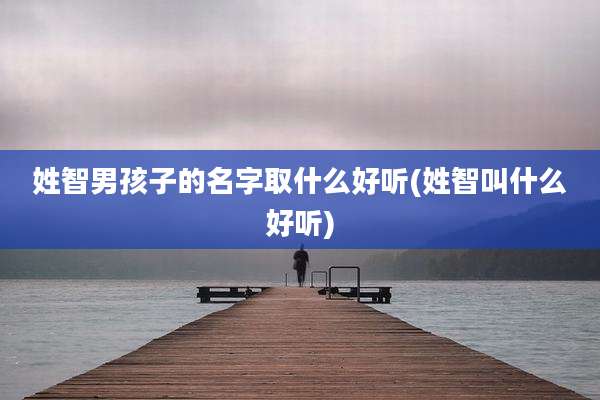 姓智男孩子的名字取什么好听(姓智叫什么好听)