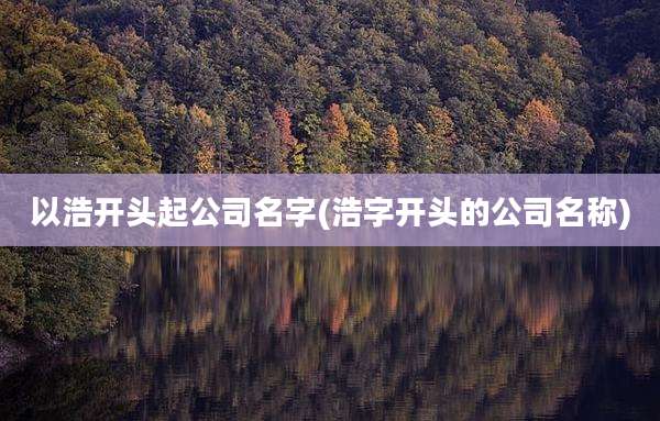 以浩开头起公司名字(浩字开头的公司名称)