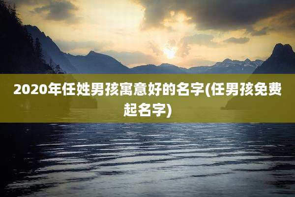 2020年任姓男孩寓意好的名字(任男孩免费起名字)