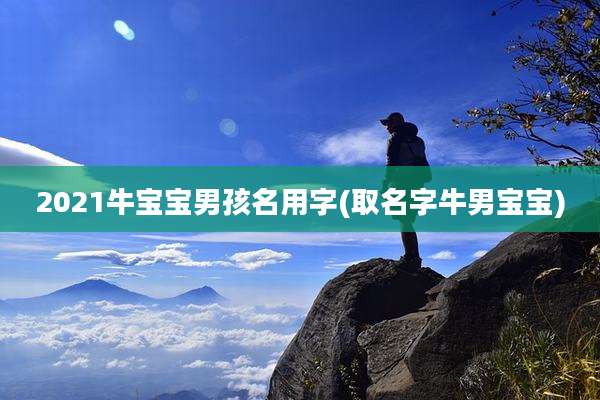 2021牛宝宝男孩名用字(取名字牛男宝宝)