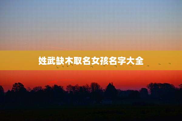 姓武缺木取名女孩名字大全