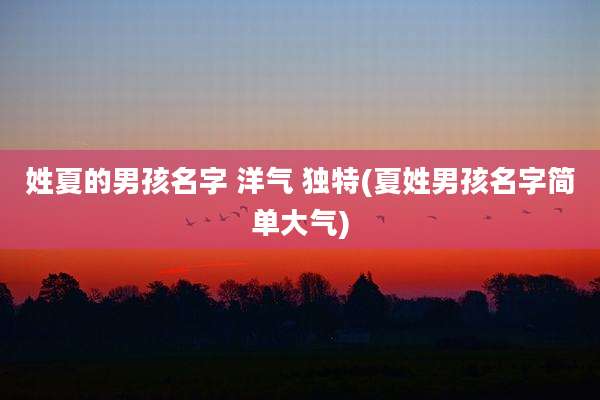 姓夏的男孩名字 洋气 独特(夏姓男孩名字简单大气)