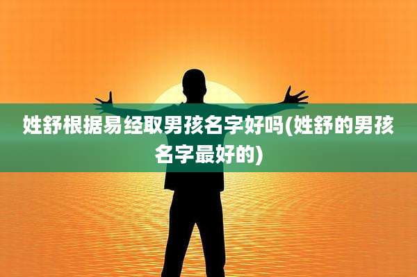 姓舒根据易经取男孩名字好吗(姓舒的男孩名字最好的)