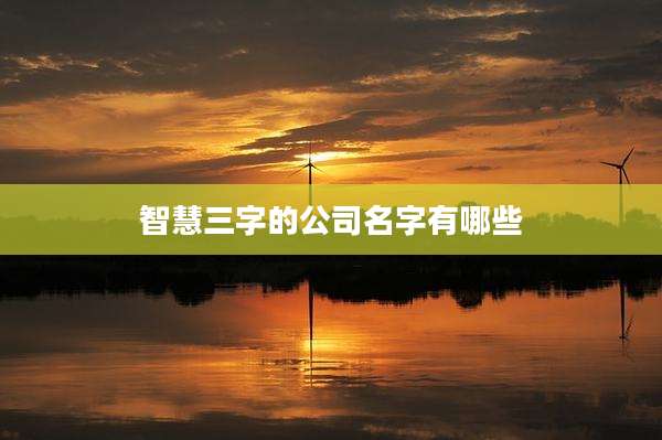智慧三字的公司名字有哪些