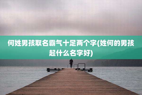 何姓男孩取名霸气十足两个字(姓何的男孩起什么名字好)