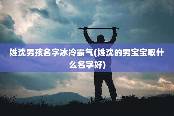 姓沈男孩名字冰冷霸气(姓沈的男宝宝取什么名字好)