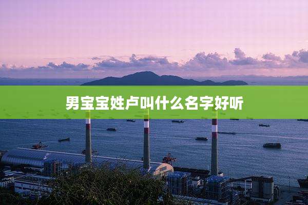 男宝宝姓卢叫什么名字好听