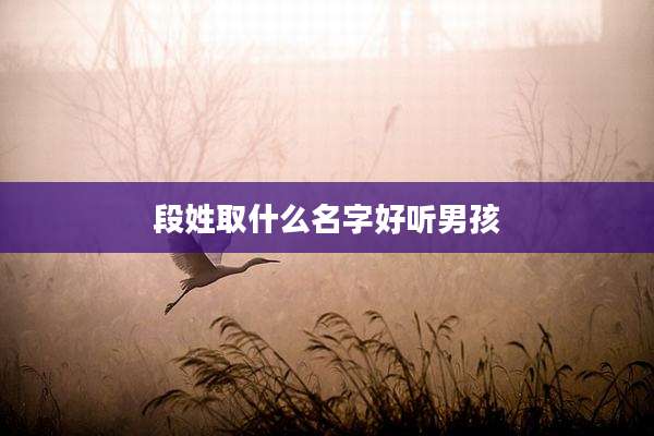 段姓取什么名字好听男孩