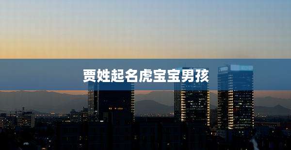 贾姓起名虎宝宝男孩