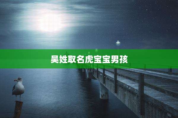 吴姓取名虎宝宝男孩