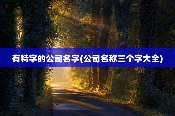 有特字的公司名字(公司名称三个字大全)