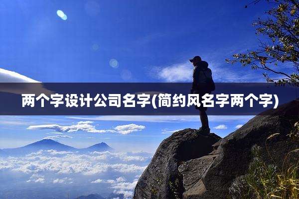 两个字设计公司名字(简约风名字两个字)