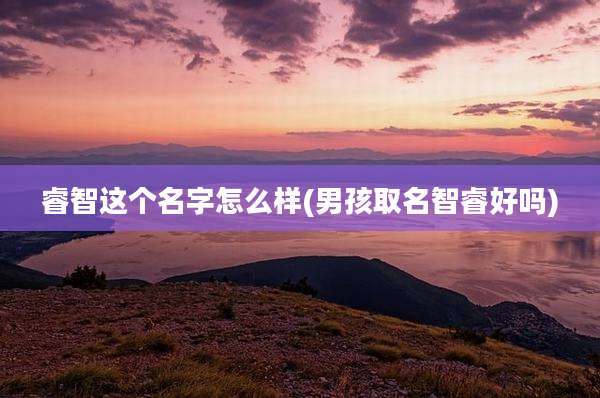 睿智这个名字怎么样(男孩取名智睿好吗)