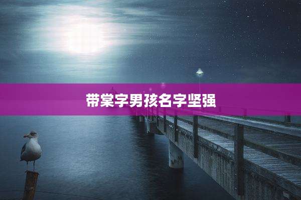 带棠字男孩名字坚强
