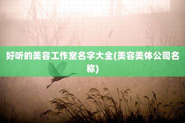 好听的美容工作室名字大全(美容美体公司名称)