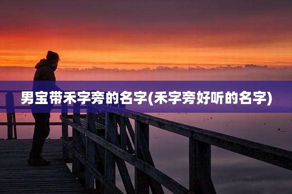 男宝带禾字旁的名字(禾字旁好听的名字)