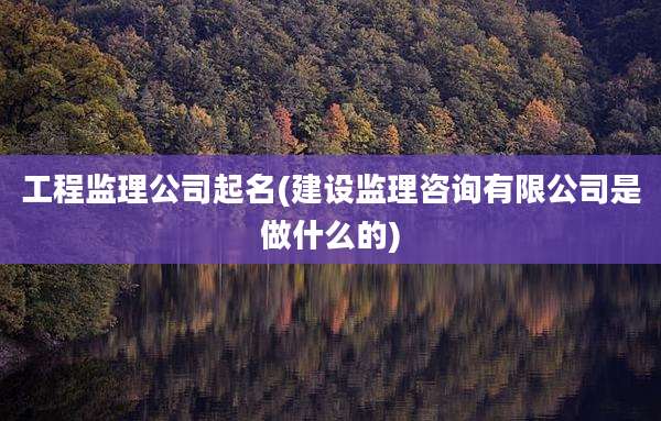 工程监理公司起名(建设监理咨询有限公司是做什么的)